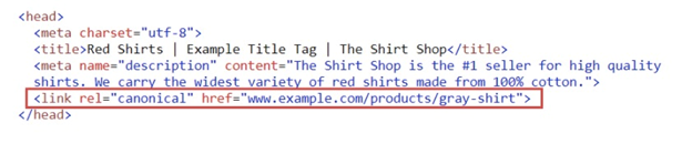 ecommerce canonical tag